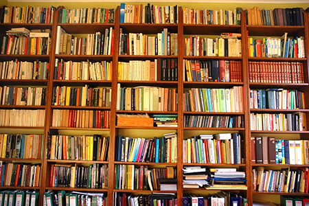 A wall lined with bookshelves. The shelves are full end-to-end of books.