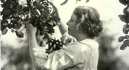 A young adult Helen Keller, touching the leaves of a tree.