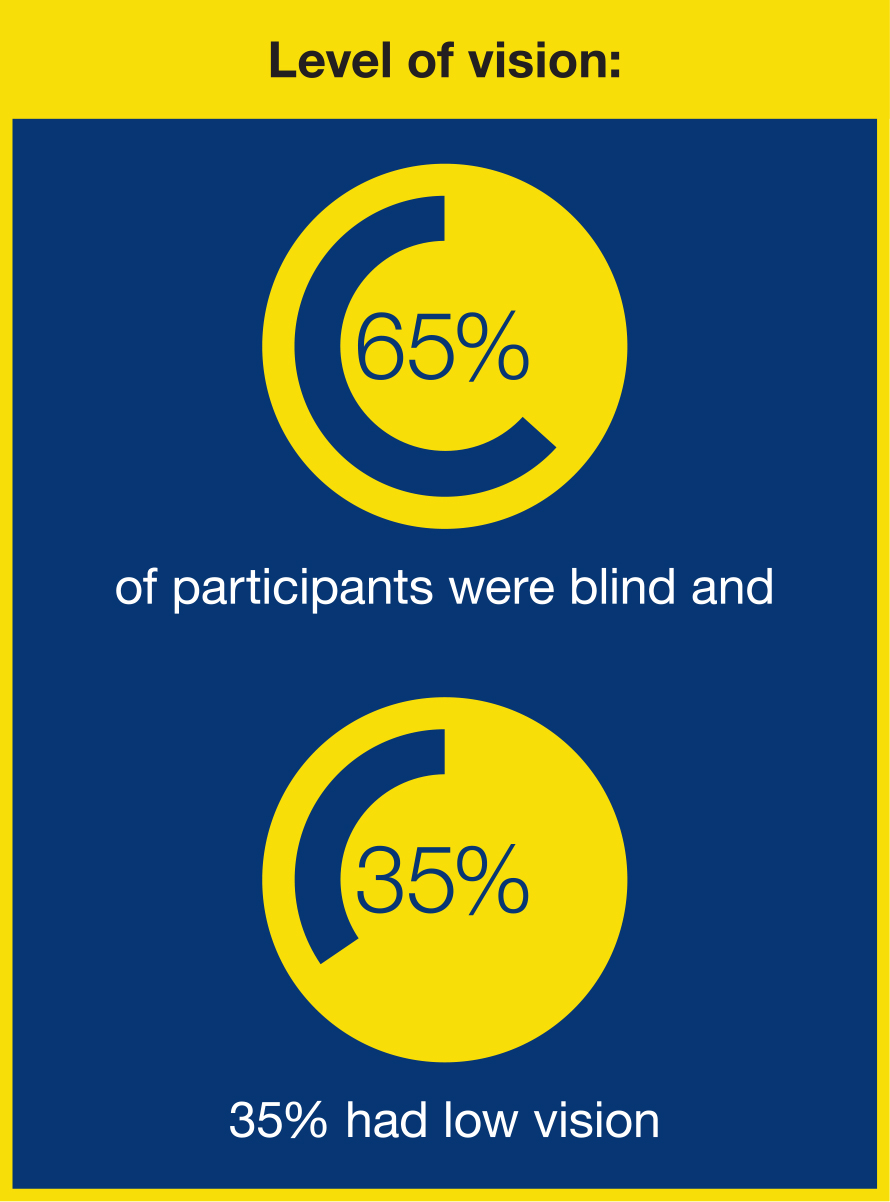 lLEVEL OF VISION GRAPHIC: 65% of participants were blind; 35% had low vision.