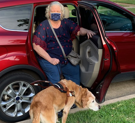 An older White woman wearing a mask and her dog guide exit the back right passenger door of a car.