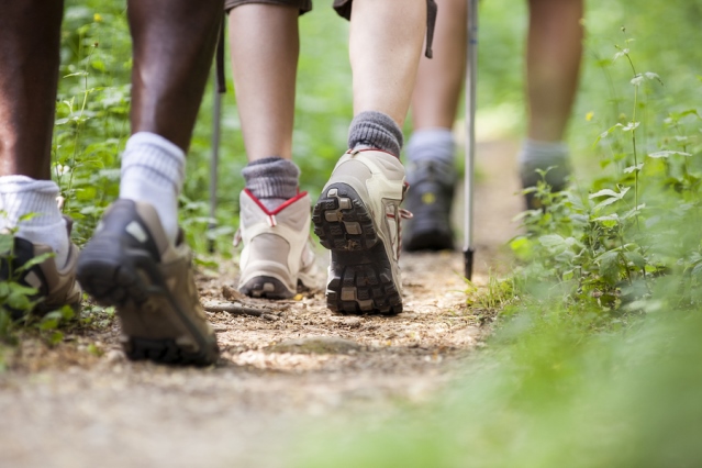 Closeup of three people's legs on a nature trail -- all are wearing hiking boots