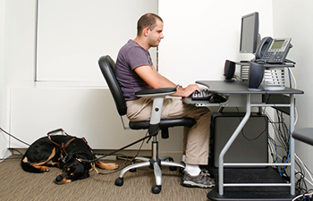 Man using computer with screen reader. His dog guide rests behind his office chair.