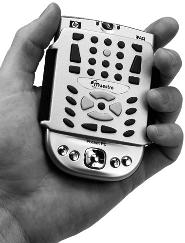 Photo of the Maestro being held in the palm of a hand.