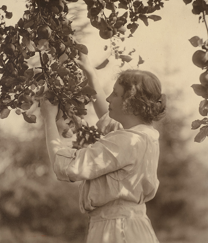 Helen Keller stands outside and touches the fruit of an apple tree.