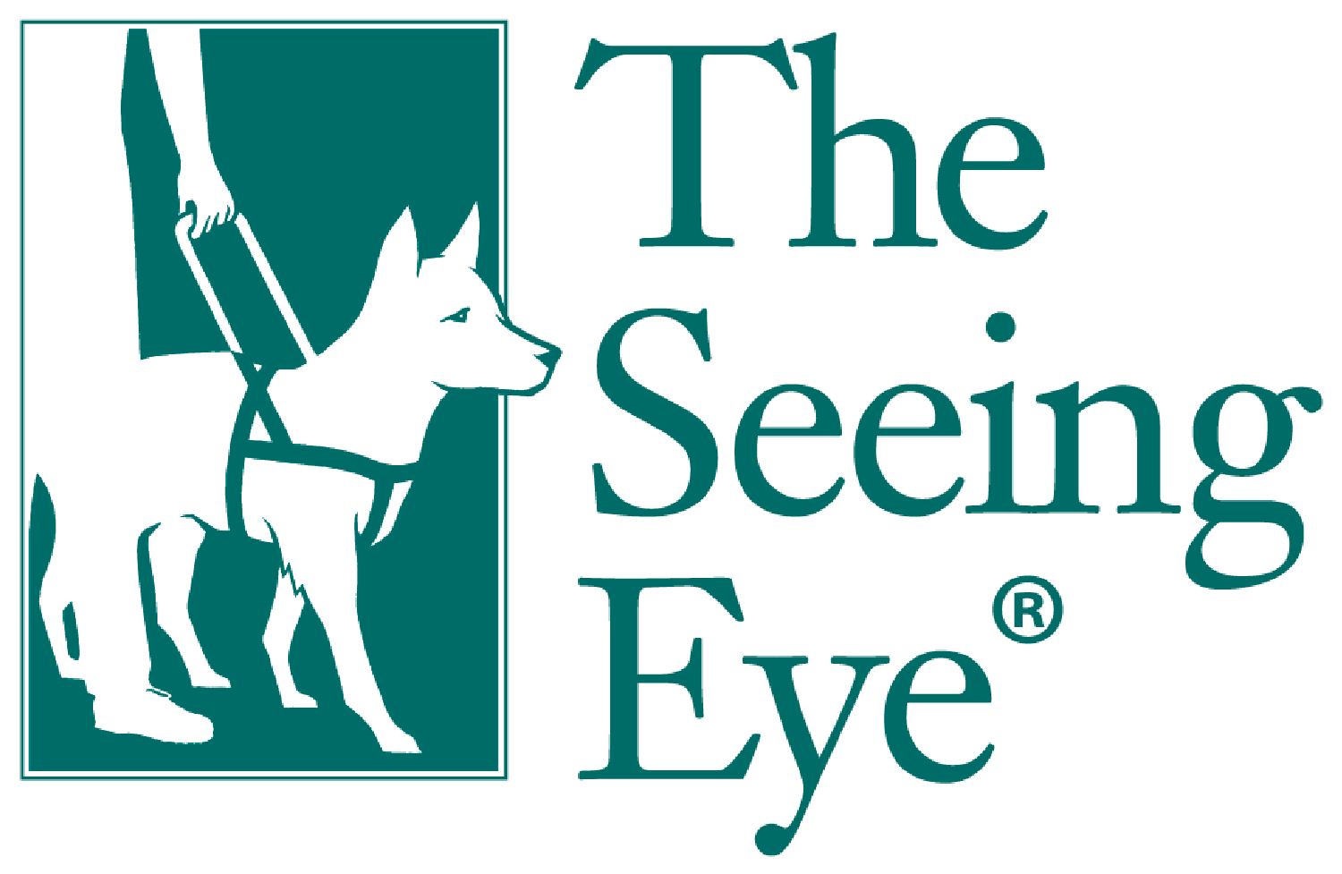 The Seeing Eye